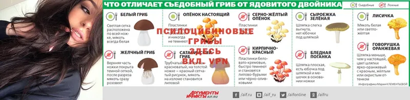 Псилоцибиновые грибы прущие грибы  наркотики  Рязань 